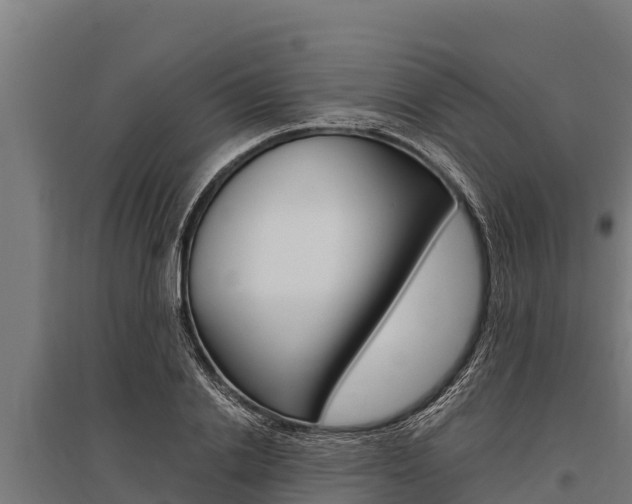 X0000096140838200801180850