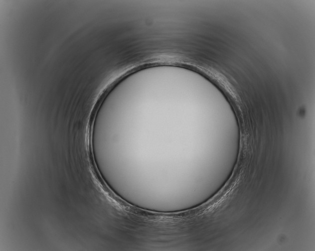 X0000096140839200801180850