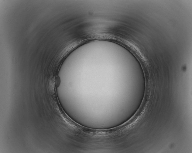 X0000096140841200801180850