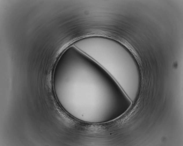 X0000096140842200801180850
