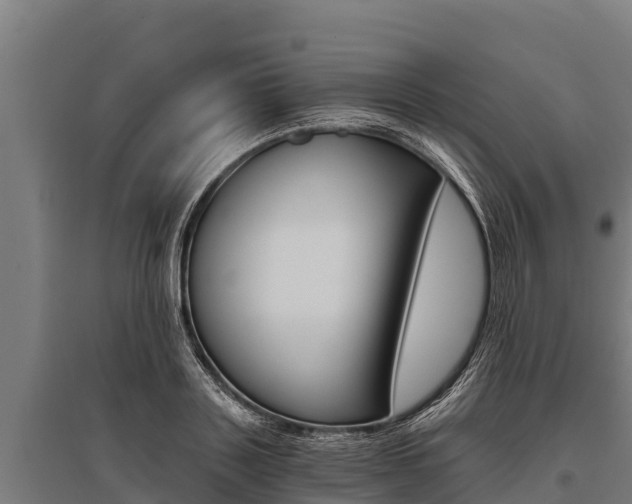 X0000096140843200801180850