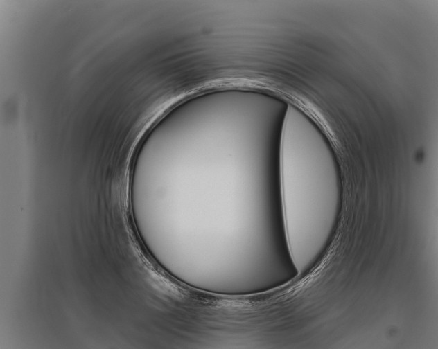 X0000096140844200801180850
