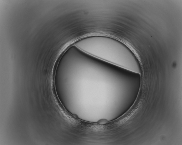X0000096140845200801180850