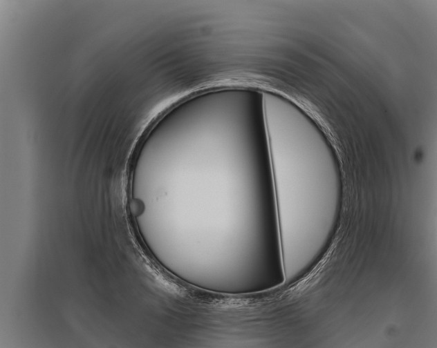 X0000096140846200801180850