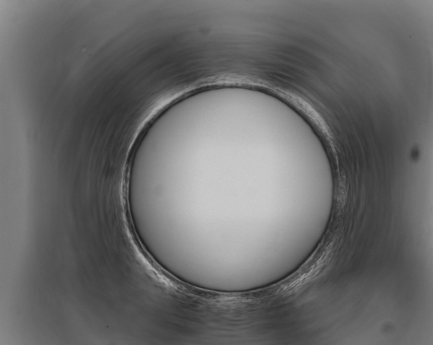 X0000096140847200801180850