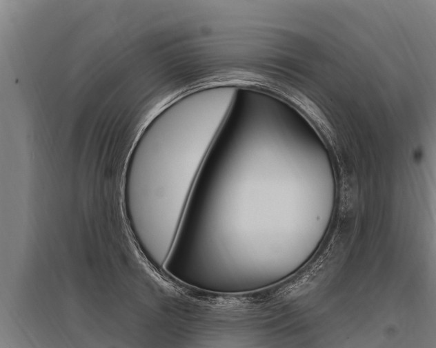 X0000096140850200801180850