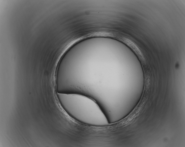 X0000096140852200801180850