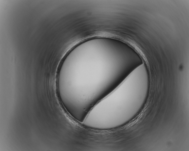X0000096140853200801180850