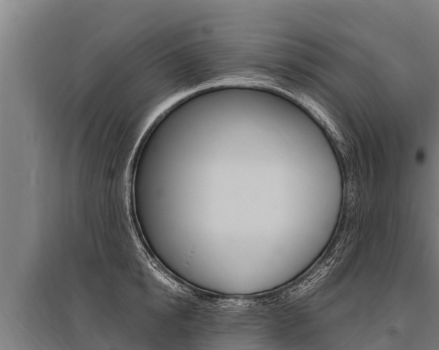 X0000096140854200801180850