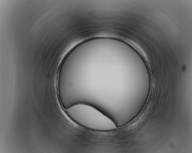 X0000096140855200801180850