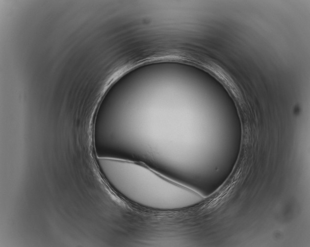 X0000096140858200801180850