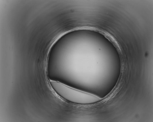X0000096140860200801180850