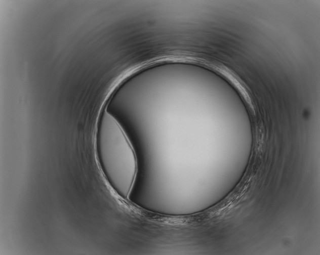 X0000096140861200801180850
