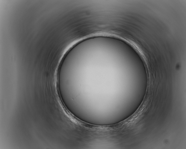 X0000096140862200801180850
