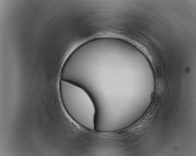 X0000096140863200801180850