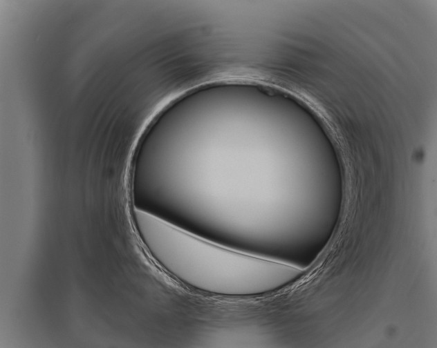 X0000096140864200801180850