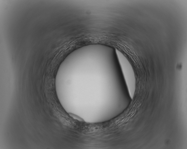 X0000096140865200801180849