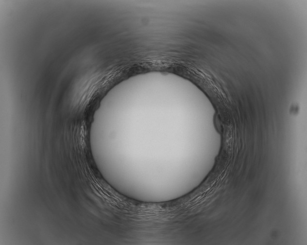 X0000096140866200801180849
