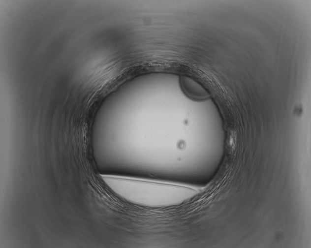 X0000096140867200801180849