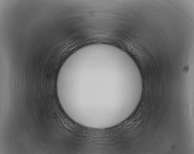 X0000096140868200801180849