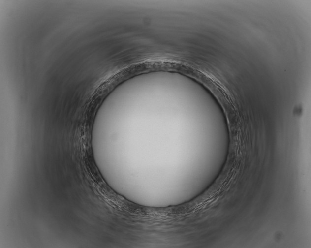 X0000096140870200801180849
