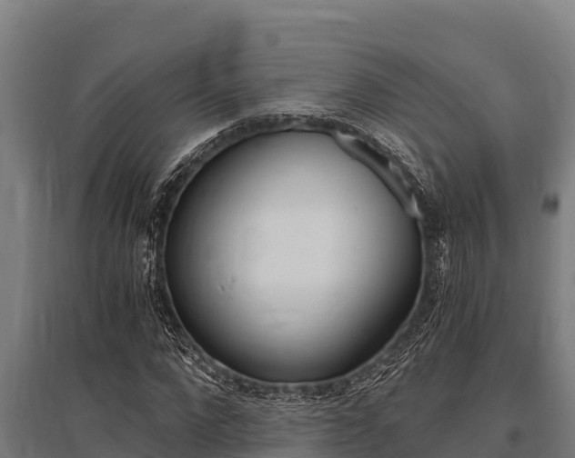 X0000096140872200801180849