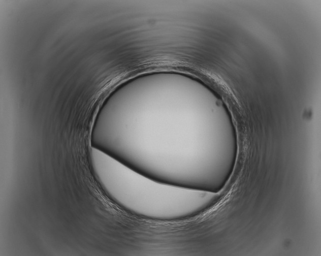 X0000096140873200801180849