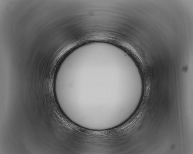 X0000096140874200801180849