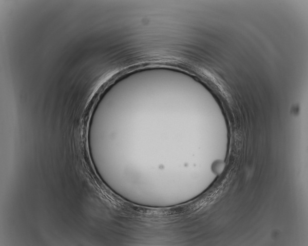 X0000096140875200801180849