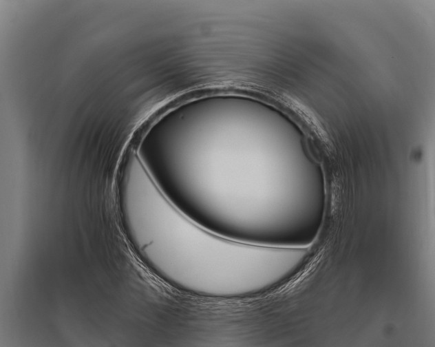 X0000096140876200801180849