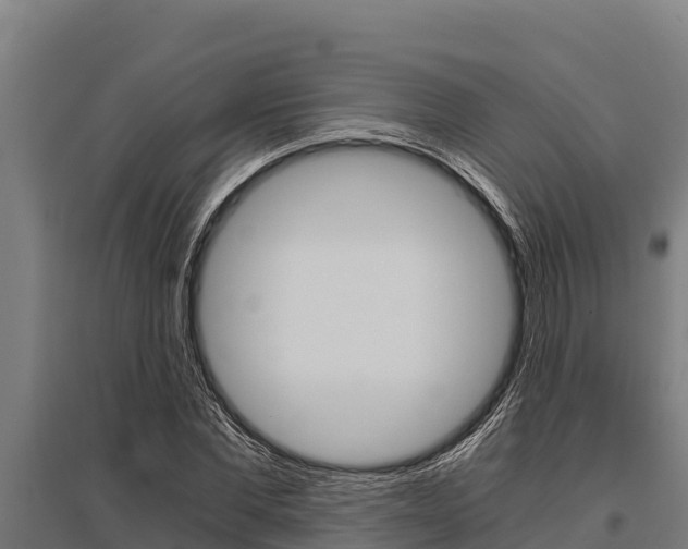 X0000096140877200801180849