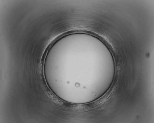 X0000096140879200801180849