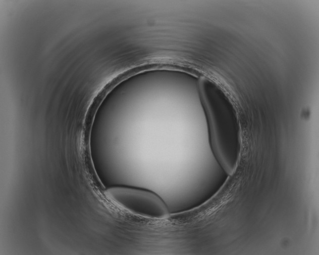 X0000096140880200801180849