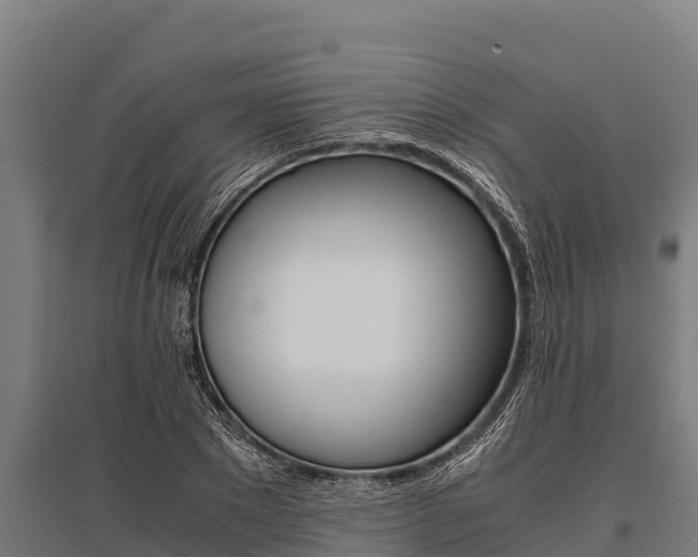 X0000096140881200801180849