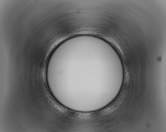 X0000096140882200801180849