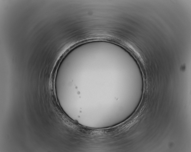 X0000096140883200801180849