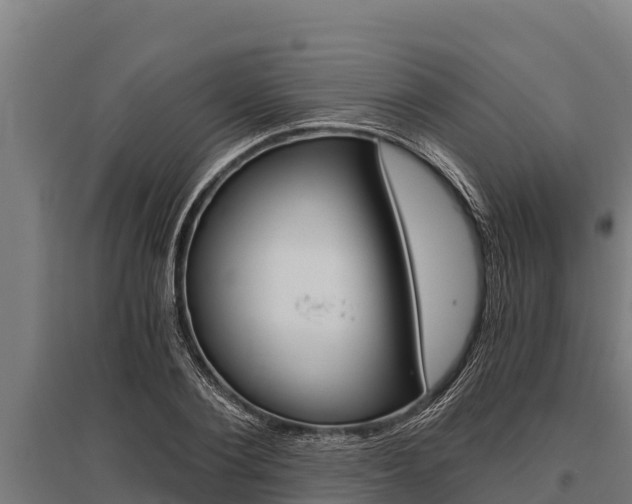 X0000096140884200801180849