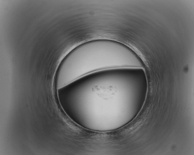 X0000096140885200801180849