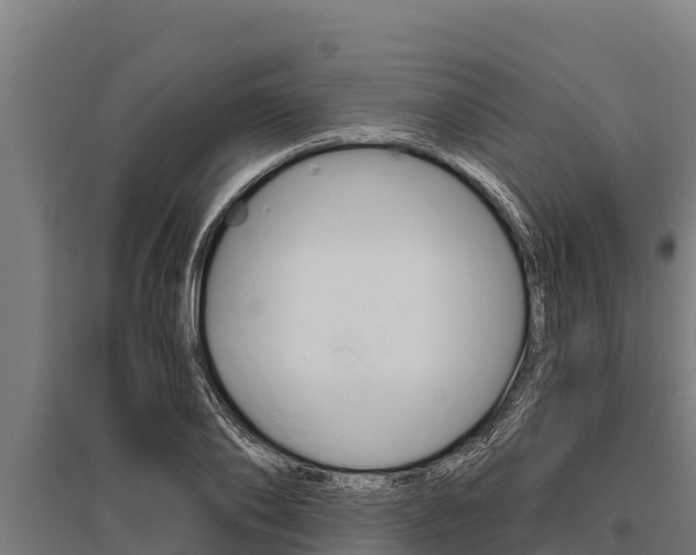 X0000096140886200801180849