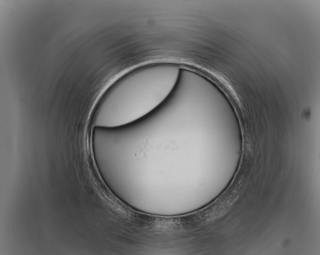 X0000096140887200801180849