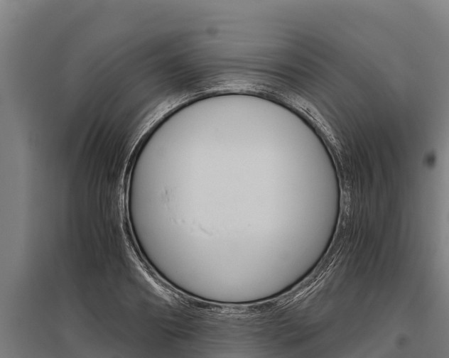 X0000096140890200801180849
