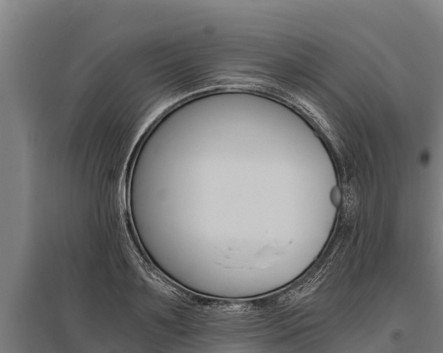 X0000096140891200801180849
