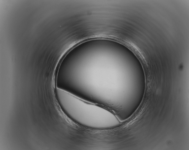 X0000096140892200801180849