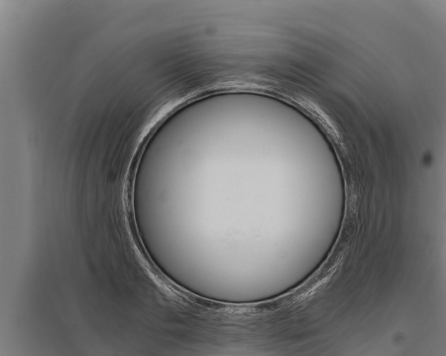 X0000096140893200801180849