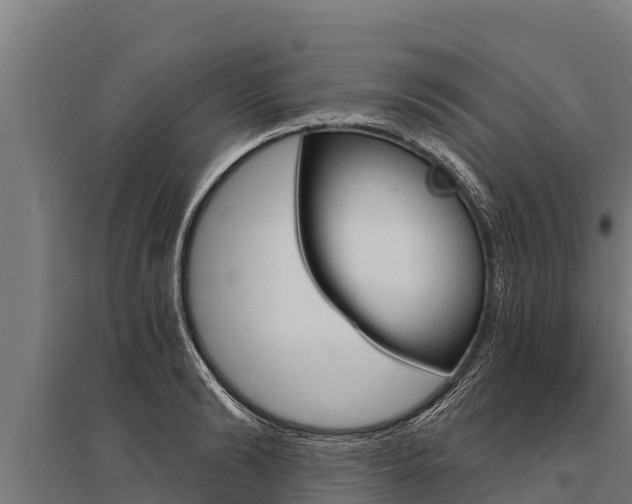 X0000096140894200801180849