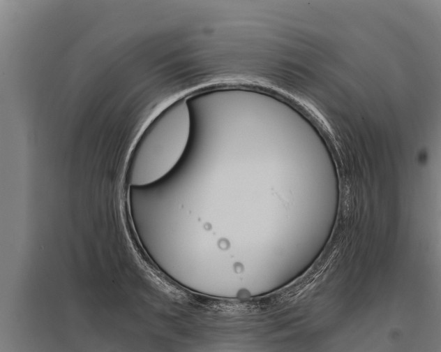 X0000096140895200801180849