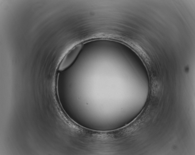 X0000096140896200801180849