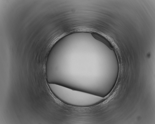 X0000096140897200801180849