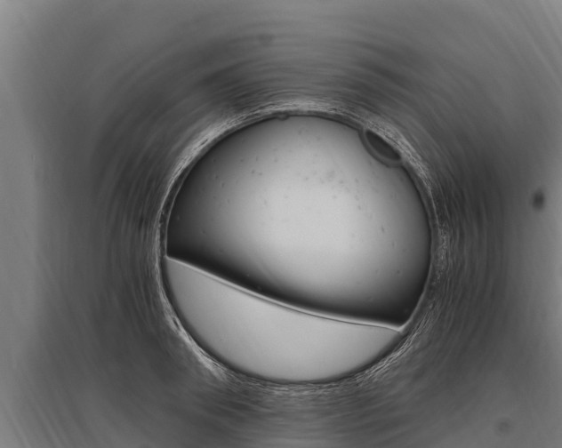 X0000096140898200801180849