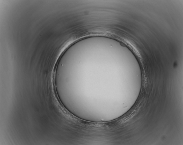X0000096140899200801180849